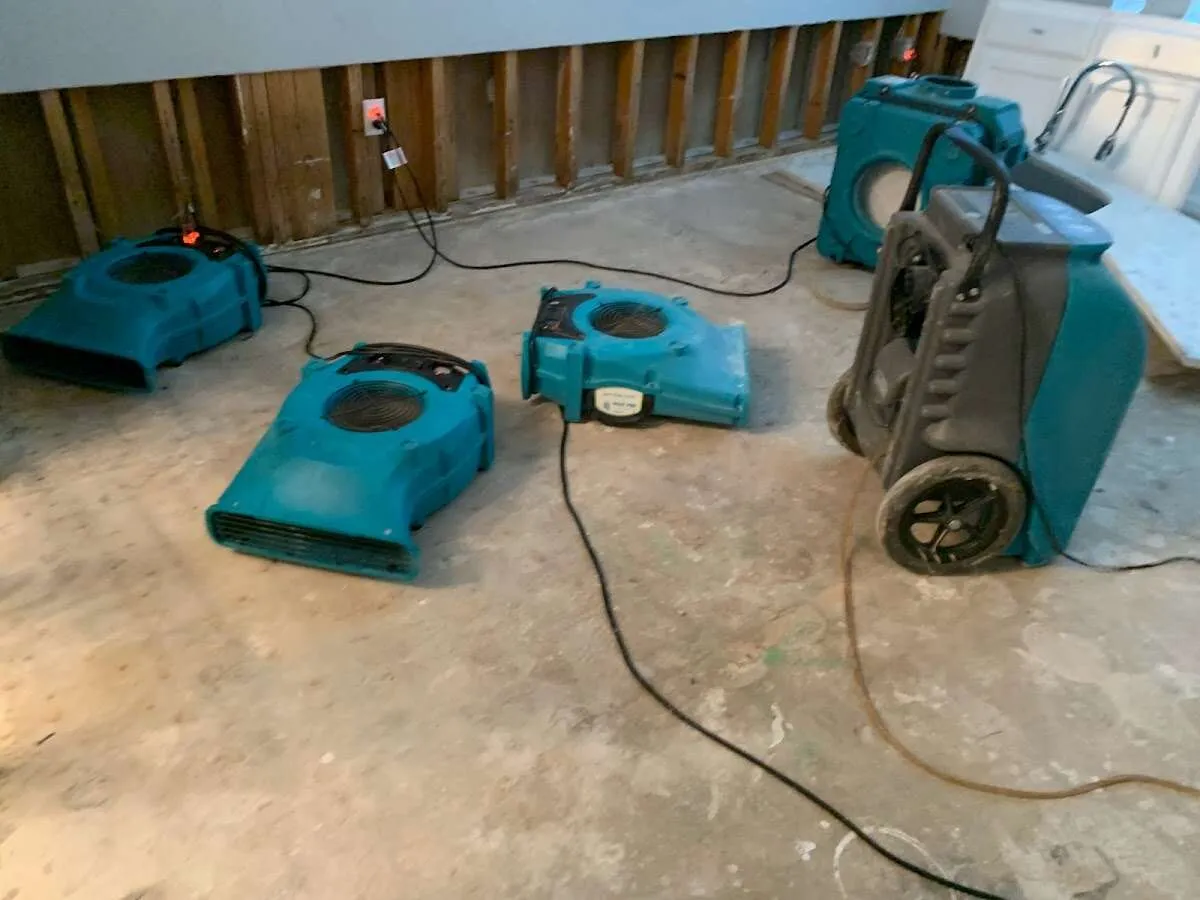 Water Mitigation Services in Henderson, TX